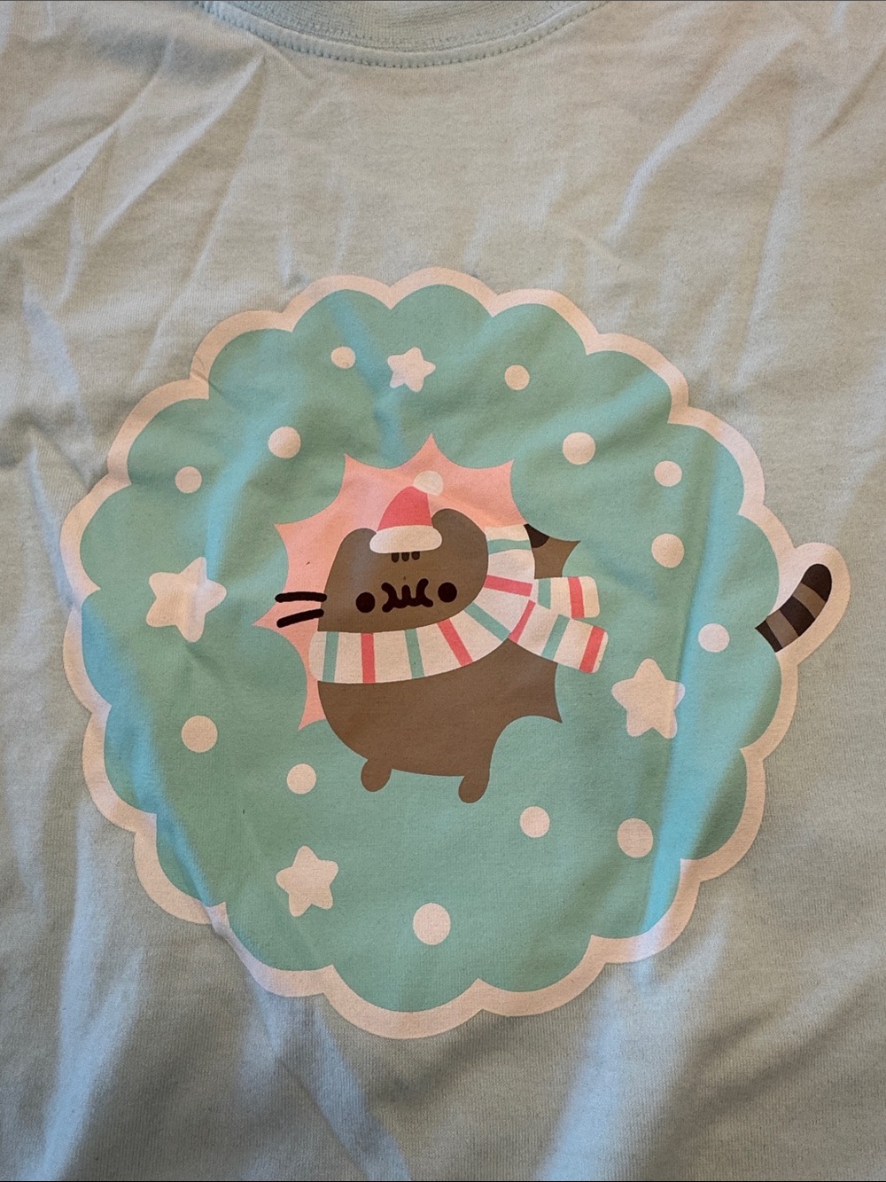 NWT Pusheen Winter Long Sleeve Pullover XS